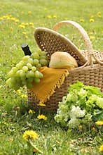 Picnic