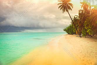 Tropical coastline with palm trees