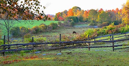 Early Morning on a Bolton Farm - Bolton, Ma by Eric L. Johnson Photography