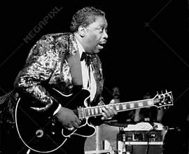 B.B. King -Palladium Theatre in Providence RI 1994 by Eric L. Johnson Photography