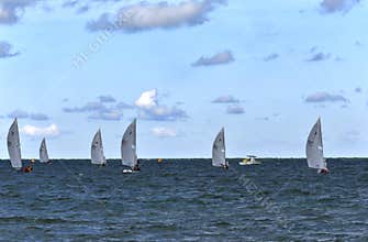 Sailing race on the open water