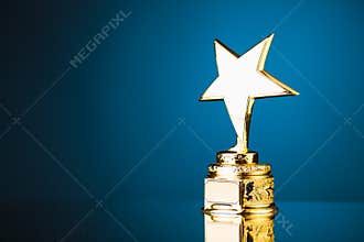 Gold star trophy