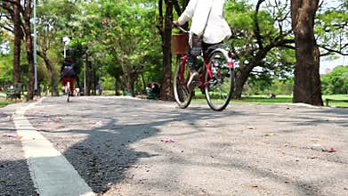 Bicycle Riding in Park HD