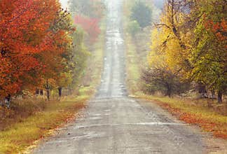 Autumn road