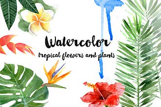 Watercolor tropical plants