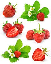 Collection of red strawberry fruits isolated