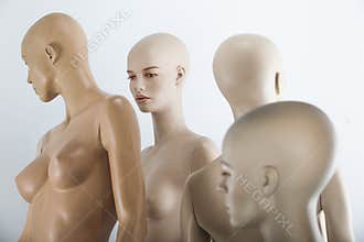 Female dolls group
