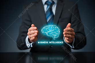 Business intelligence