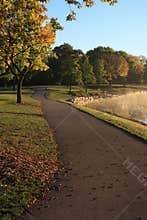 Early Morning Stroll