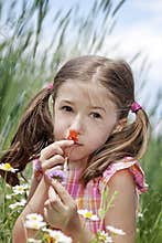 Allergic to pollen