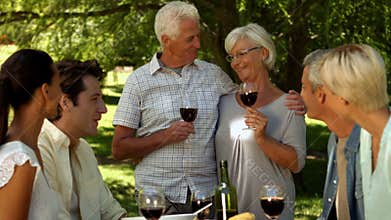 Older couple toasting with family in park