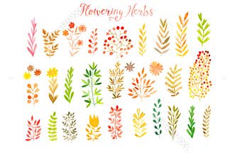 Set of colorful autumn leaves. Vector illustration.vector set of red autumn watercolor leaves and berries, hand drawn design