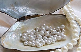 Oyster and pearls