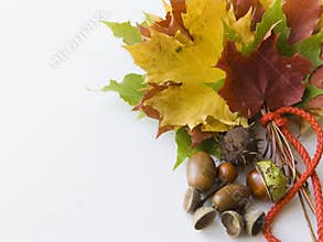 Autumn bouquet