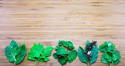 Variety of aroma leaves of Thai traditional herbs on wooden back