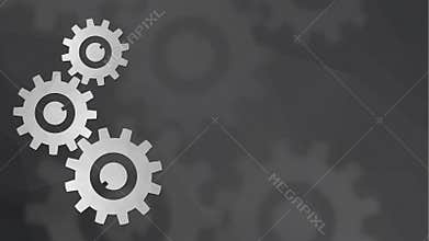 White gears