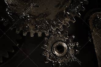 Mechanical transmission by means of gears
