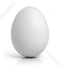 Chicken egg on white