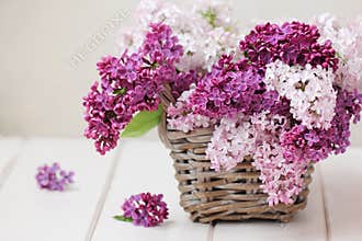 Lilac Flowers Bouquet