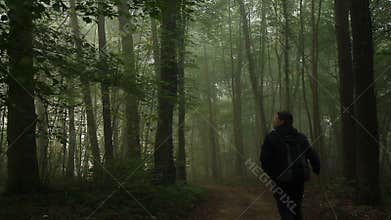 Walking in forest
