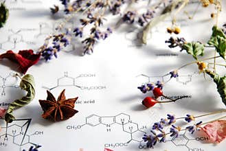 Herbs and science