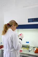 Lab work