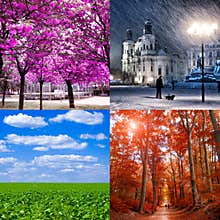 Four seasons specific.