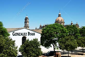 Gonzales Byass Bodega, Jerez de la Frontera.