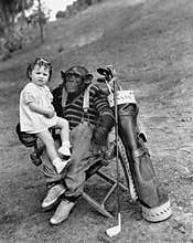 Monkey with golf clubs and toddler girl