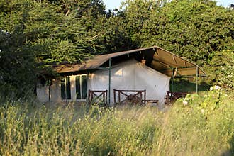 Safari tent