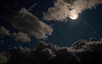 Fairy night
