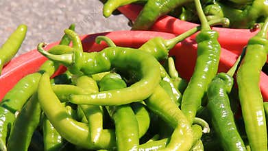 Spicy Green Peppers 1