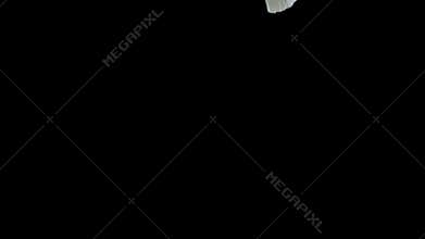 Dove flying on black background