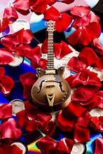 Guitar, music, roses