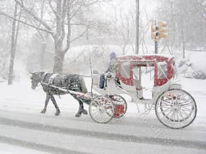 Carriage in the snow