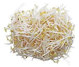 Mung bean sprouts