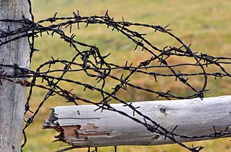 Barbed wire fence