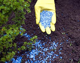 Fertilize