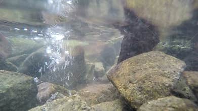 Throwing stone in the water