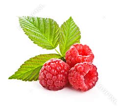 Bunch of a red raspberry