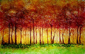 Fall Forest