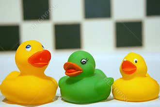 Bathroom ducks