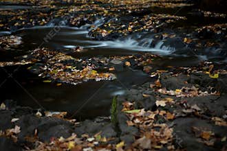 Silky Stream in Autumn