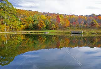 Water reflections in small pond in fall.