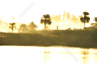 Foggy morning on the Nile