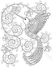 Coloring page with Hummingbird, zentangle flying bird for adult