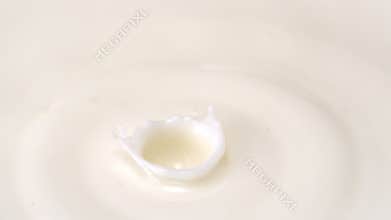 Milk pouring and moving