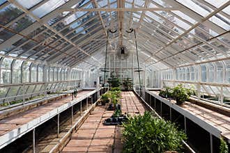 Empty Greenhouse