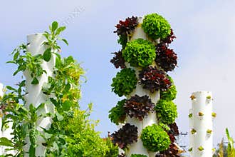 Garden Tower Sustainable Living
