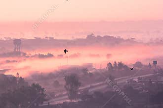 Foggy mystic morning